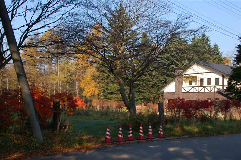 DSC_8160.JPG DSC_8160.JPG