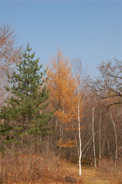 DSC_8228.JPG DSC_8228.JPG