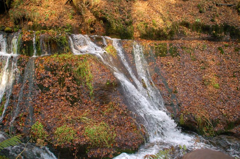 DSC_8240.JPG DSC_8240.JPG