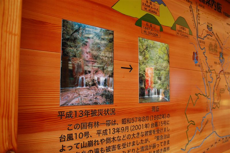 DSC_8256.JPG DSC_8256.JPG