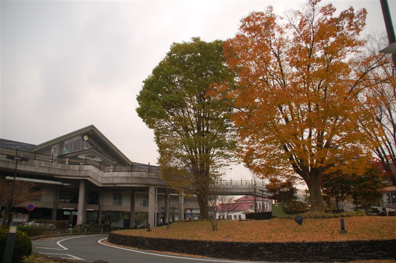 DSC_8266.JPG DSC_8266.JPG
