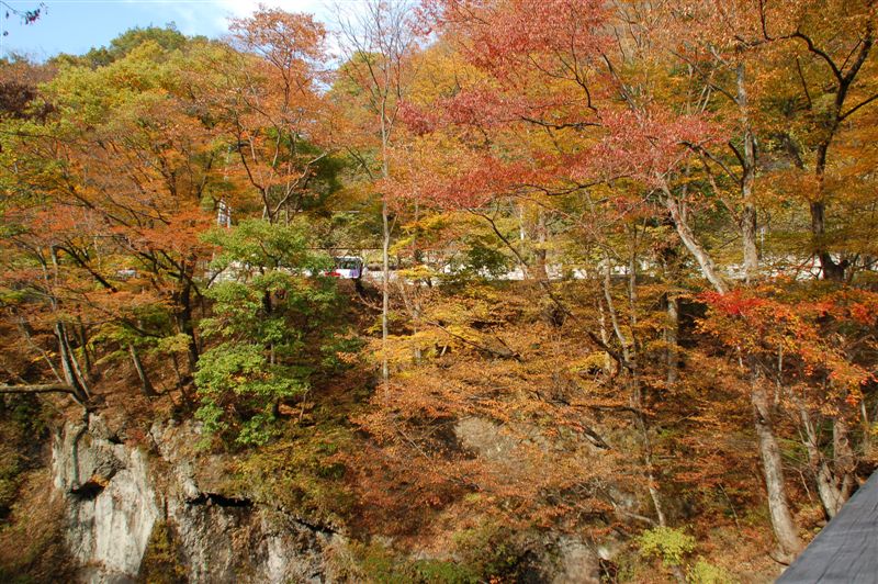 DSC_8426.JPG DSC_8426.JPG