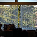 這是我們在輕井澤王子飯店房間的窗景