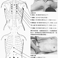 豐姿.jpg