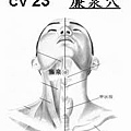 CV23廉泉穴.jpg