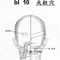 低血壓天柱.jpg