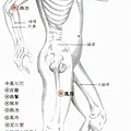 綜合穴.jpg