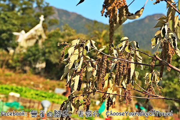 IMG_6847_meitu_2 IMG_6847_meitu_2