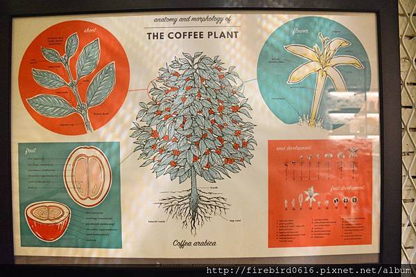 3-3-4天母SOGO旁Bluemoon_Institute69.jpg 3-3-4天母SOGO旁Bluemoon_Institute69.jpg