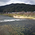 5錦帶橋11.jpg