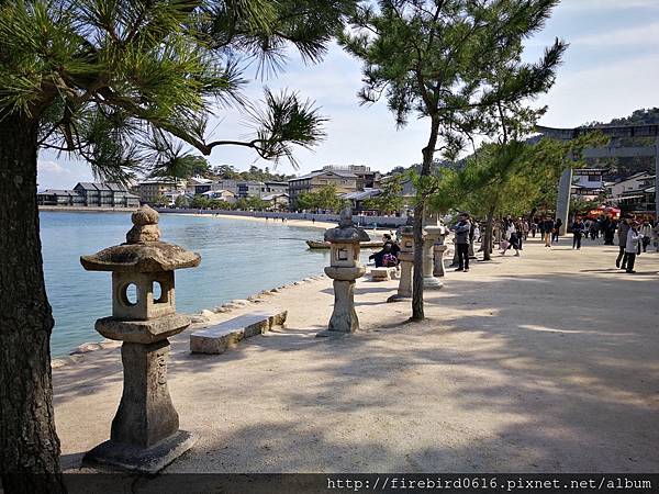 4-2宮島嚴島15.jpg