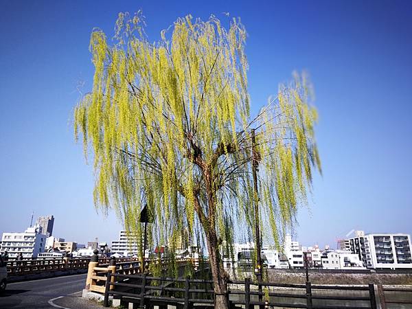 岡山後樂園-岡山城4.jpg