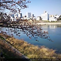 岡山後樂園-岡山城9.jpg