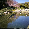 岡山後樂園-岡山城44.jpg