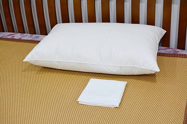 2-0寶麒麗泰不挑枕-17.jpg 2-0寶麒麗泰不挑枕-17.jpg