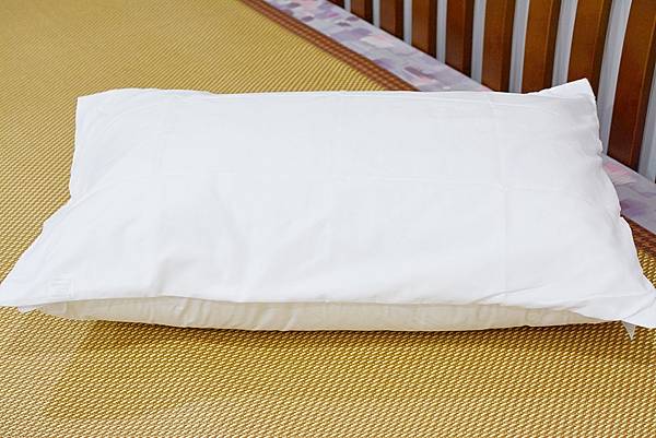 3-0寶麒麗泰不挑枕-21.jpg 3-0寶麒麗泰不挑枕-21.jpg