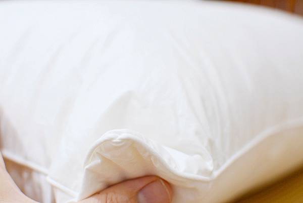 3-3寶麒麗泰不挑枕-24.jpg 3-3寶麒麗泰不挑枕-24.jpg