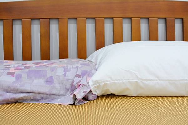 4-3寶麒麗泰不挑枕-28.jpg 4-3寶麒麗泰不挑枕-28.jpg