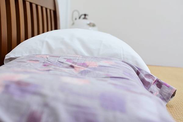 4-4寶麒麗泰不挑枕-27.jpg 4-4寶麒麗泰不挑枕-27.jpg