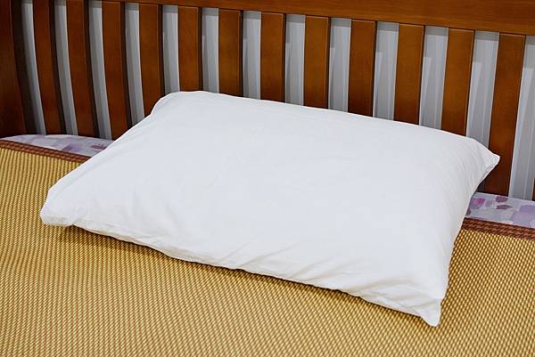 7-1寶麒麗泰不挑枕-36.jpg 7-1寶麒麗泰不挑枕-36.jpg