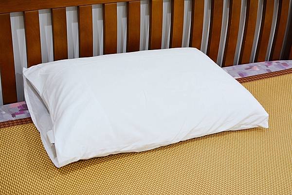 7-2寶麒麗泰不挑枕-35.jpg 7-2寶麒麗泰不挑枕-35.jpg