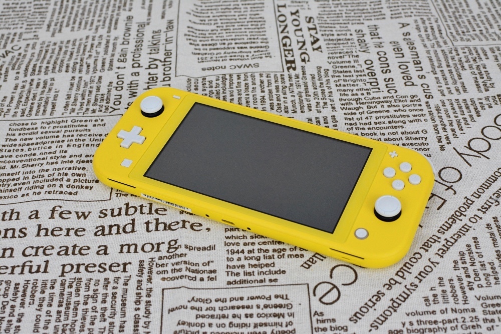 3-1任天堂SwitchLite-26.jpg