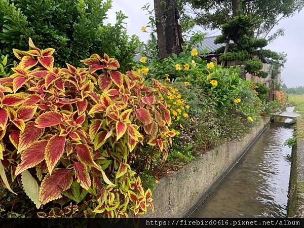 1桃園龍潭晴耕雨讀-孢子囊電影院-48.jpg