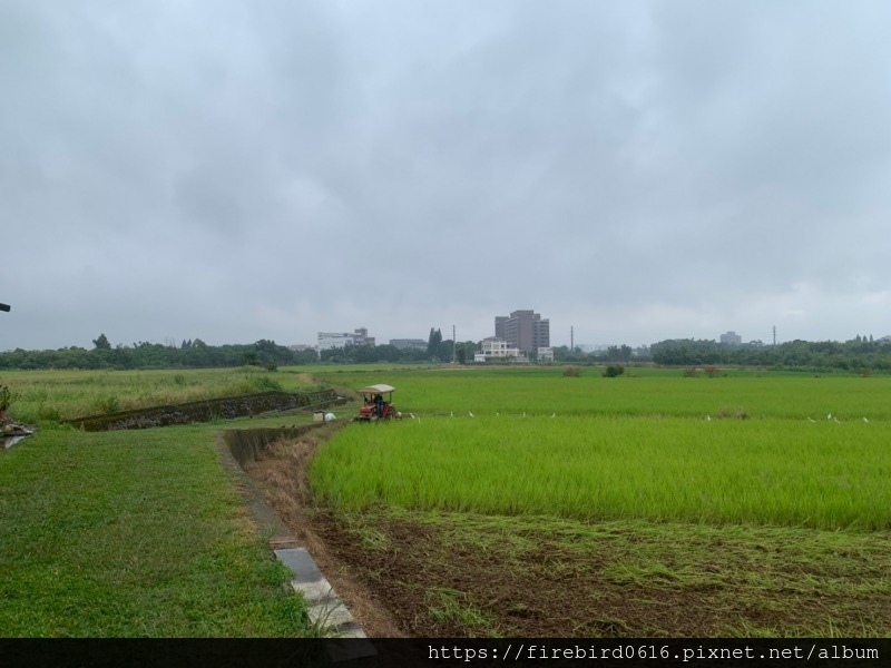 1桃園龍潭晴耕雨讀-孢子囊電影院-46.jpg