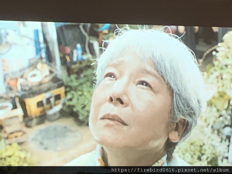 7-9桃園龍潭晴耕雨讀-孢子囊電影院-36.jpg