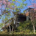 0-5復興鄉_丸山咖啡-41.jpg
