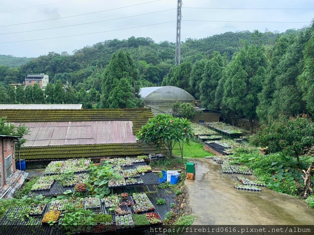 2桃園-楊梅繞山花文創-37.jpg