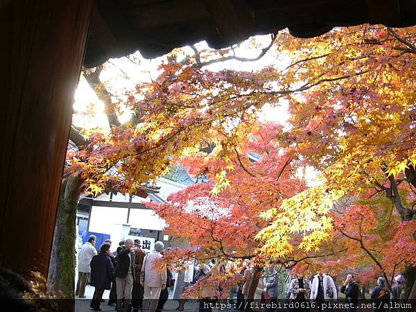 東福寺8.JPG