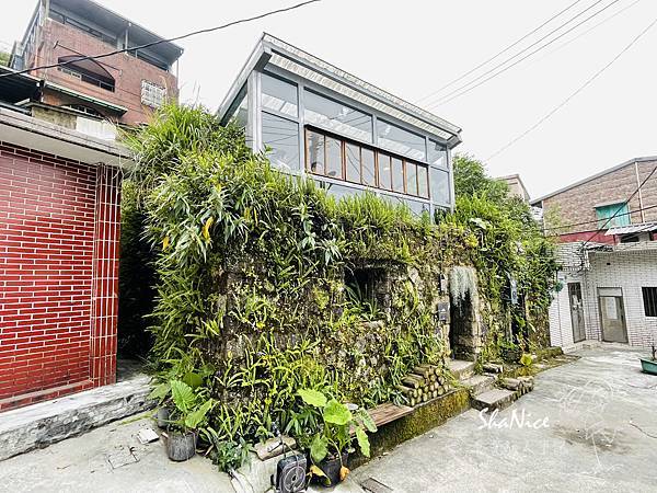 微光森林4.jpg 微光森林4.jpg