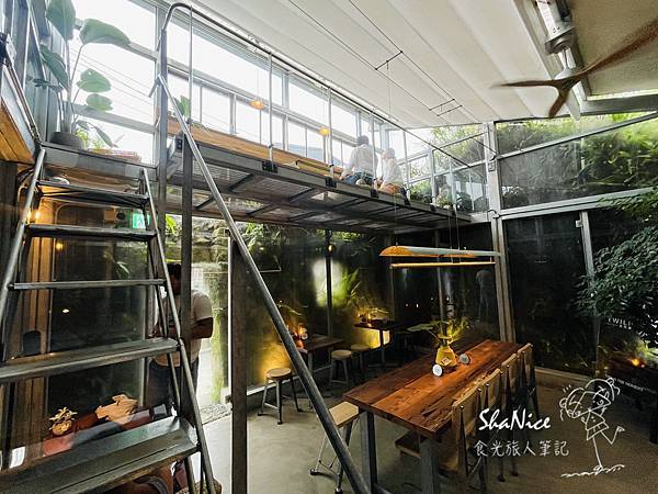 微光森林12.jpg 微光森林12.jpg