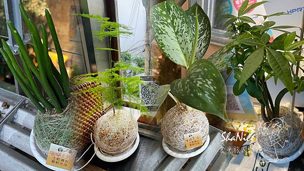 微光森林41.jpg 微光森林41.jpg