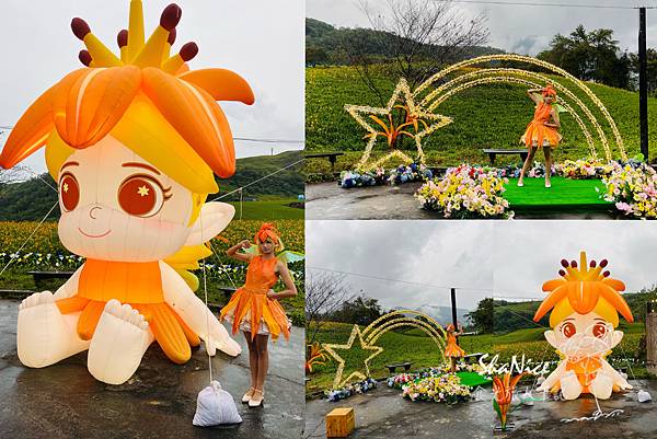 花蓮富理金針花季15.jpg 花蓮富理金針花季15.jpg