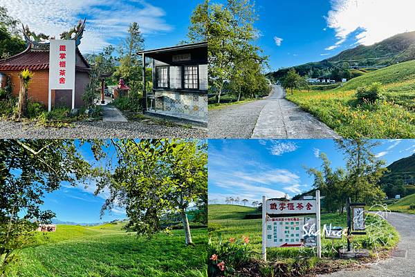 花蓮富理金針花季12.jpg 花蓮富理金針花季12.jpg