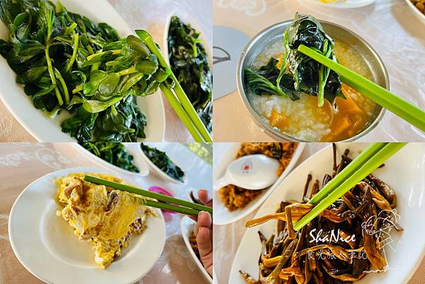 花蓮富理金針花季11.jpg 花蓮富理金針花季11.jpg