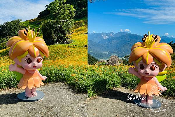 花蓮富理金針花季9.jpg 花蓮富理金針花季9.jpg