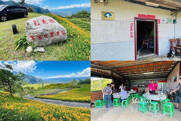 花蓮富理金針花季2.jpg 花蓮富理金針花季2.jpg