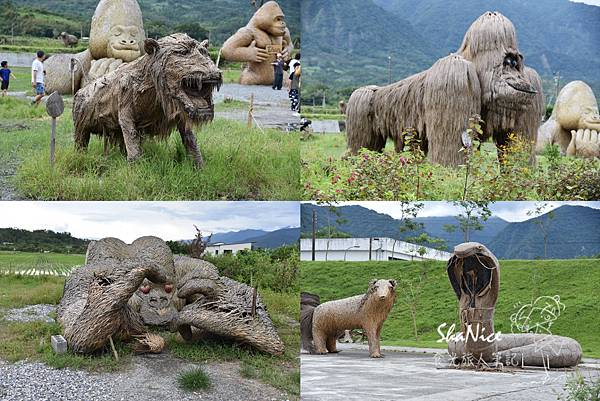 花蓮富理金針花季42.jpg 花蓮富理金針花季42.jpg