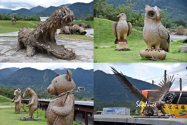 花蓮富理金針花季44.jpg 花蓮富理金針花季44.jpg