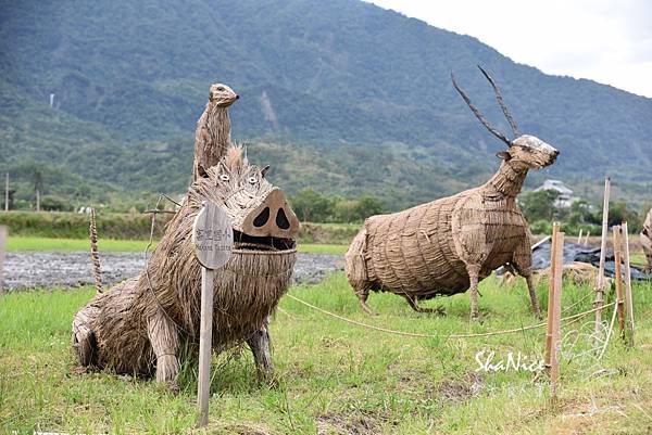 花蓮富理金針花季28.JPG 花蓮富理金針花季28.JPG
