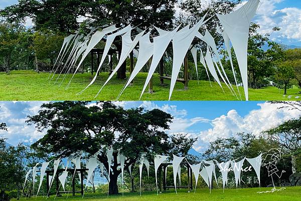 花蓮富理金針花季46.jpg 花蓮富理金針花季46.jpg