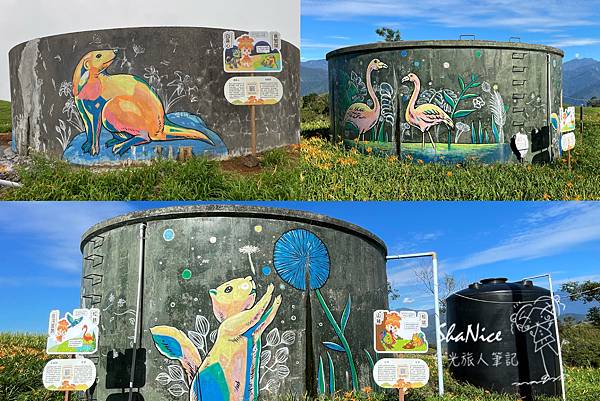 花蓮富理金針花季49.jpg 花蓮富理金針花季49.jpg