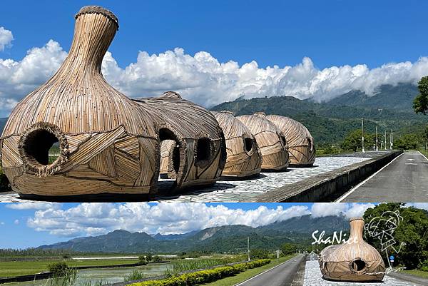 花蓮富理金針花季45.jpg 花蓮富理金針花季45.jpg