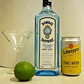 gin-tonic-1.jpg