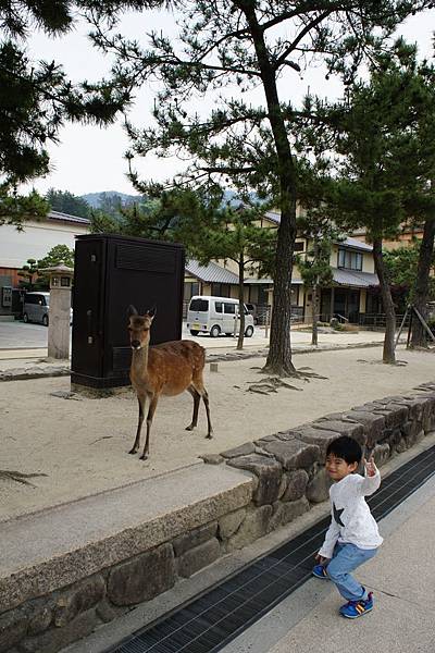 2015山陽山陰_032.jpg