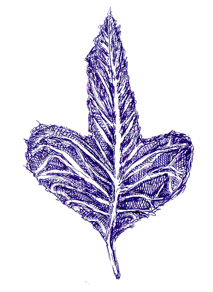 leaf3.png