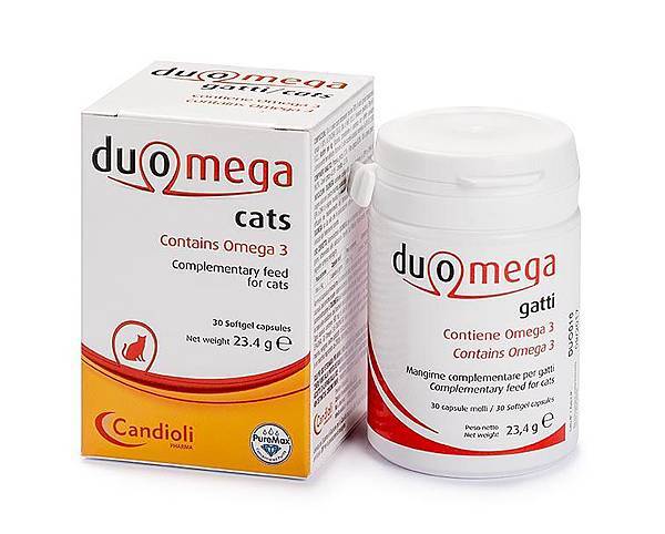 duomegacatseng01_large.jpg